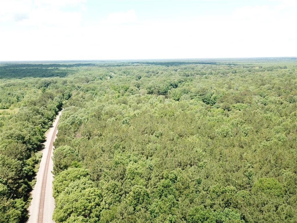 0 County Road 4223 Simms, TX 75574 - Photo 16 of 31 a view of a green field