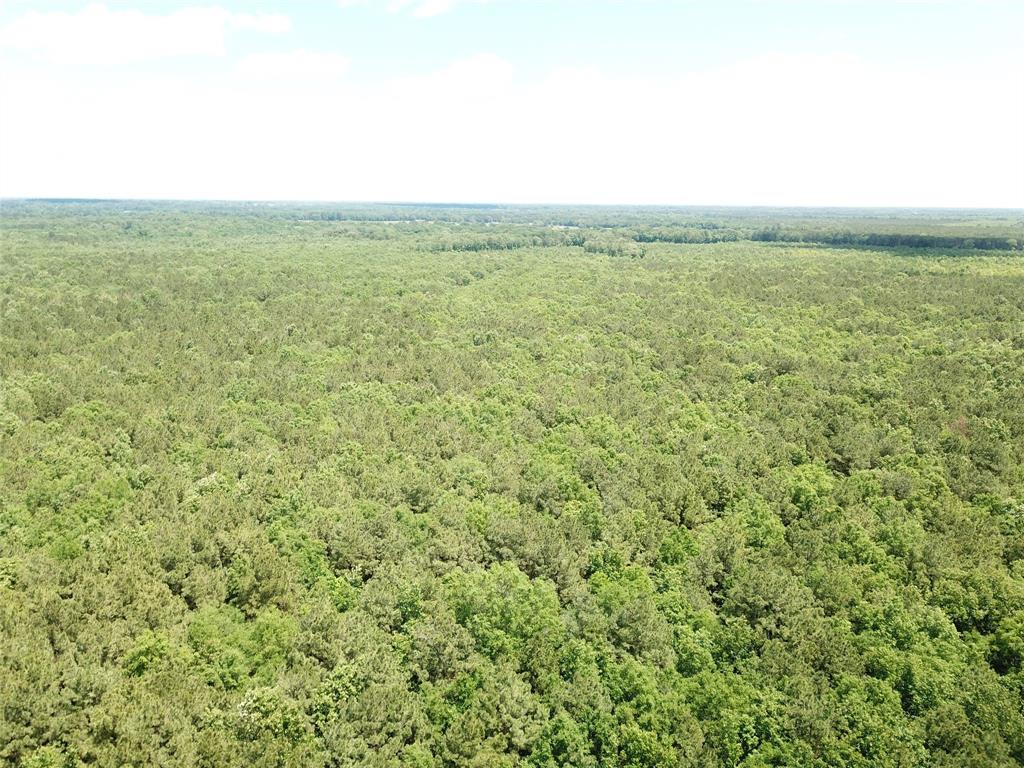 0 County Road 4223 Simms, TX 75574 - Photo 17 of 31 a view of an ocean
