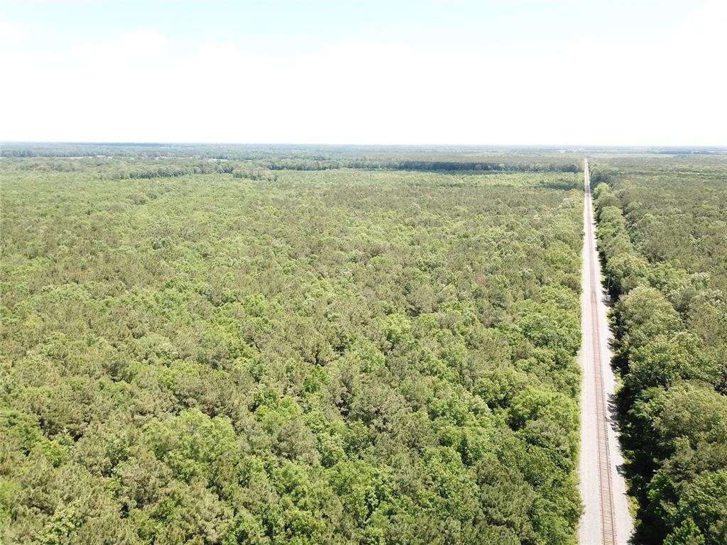 0 County Road 4223 Simms, TX 75574 - Photo 18 of 31