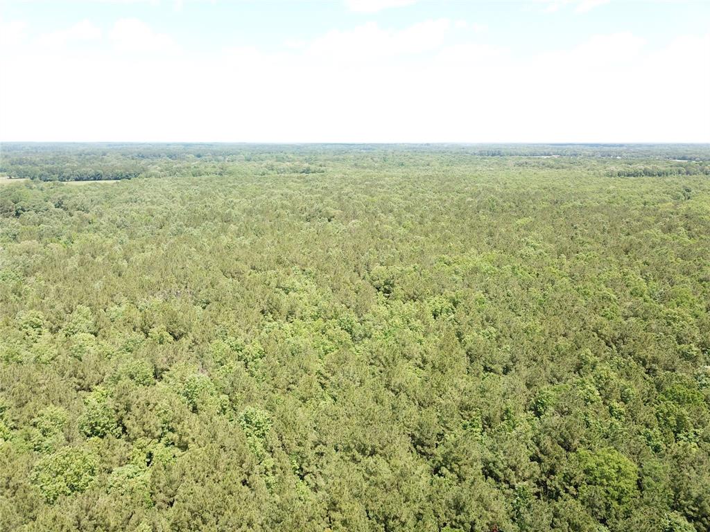 0 County Road 4223 Simms, TX 75574 - Photo 19 of 31 a view of an ocean