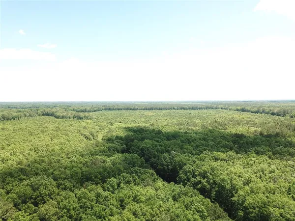 a view of a green field