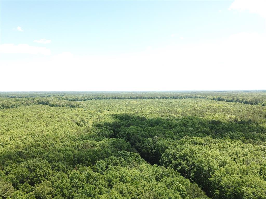 0 County Road 4223 Simms, TX 75574 - Photo 2 of 31 a view of a green field