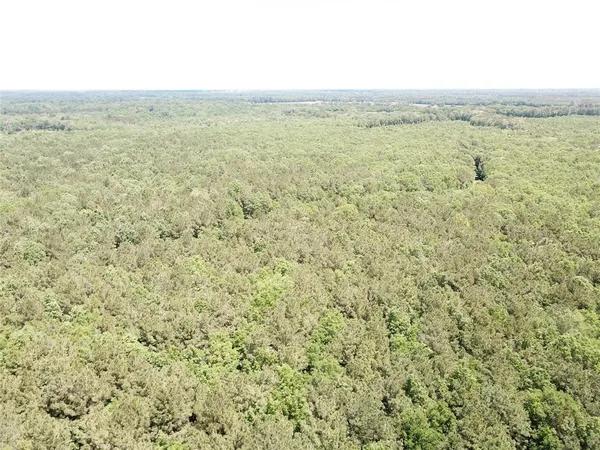 a view of outdoor space and green space