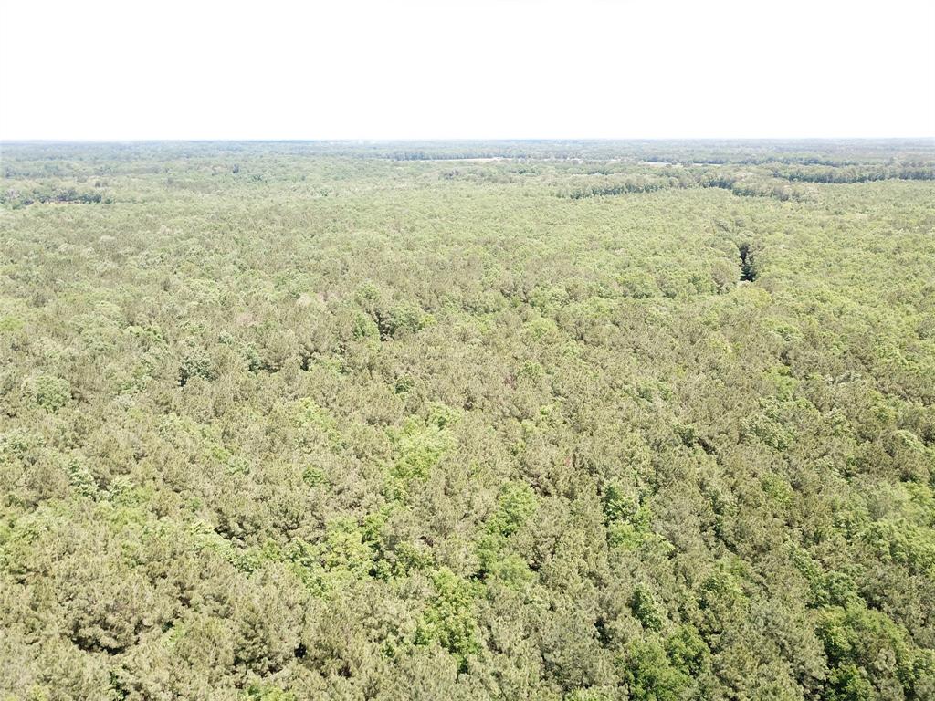 0 County Road 4223 Simms, TX 75574 - Photo 21 of 31 a view of an ocean