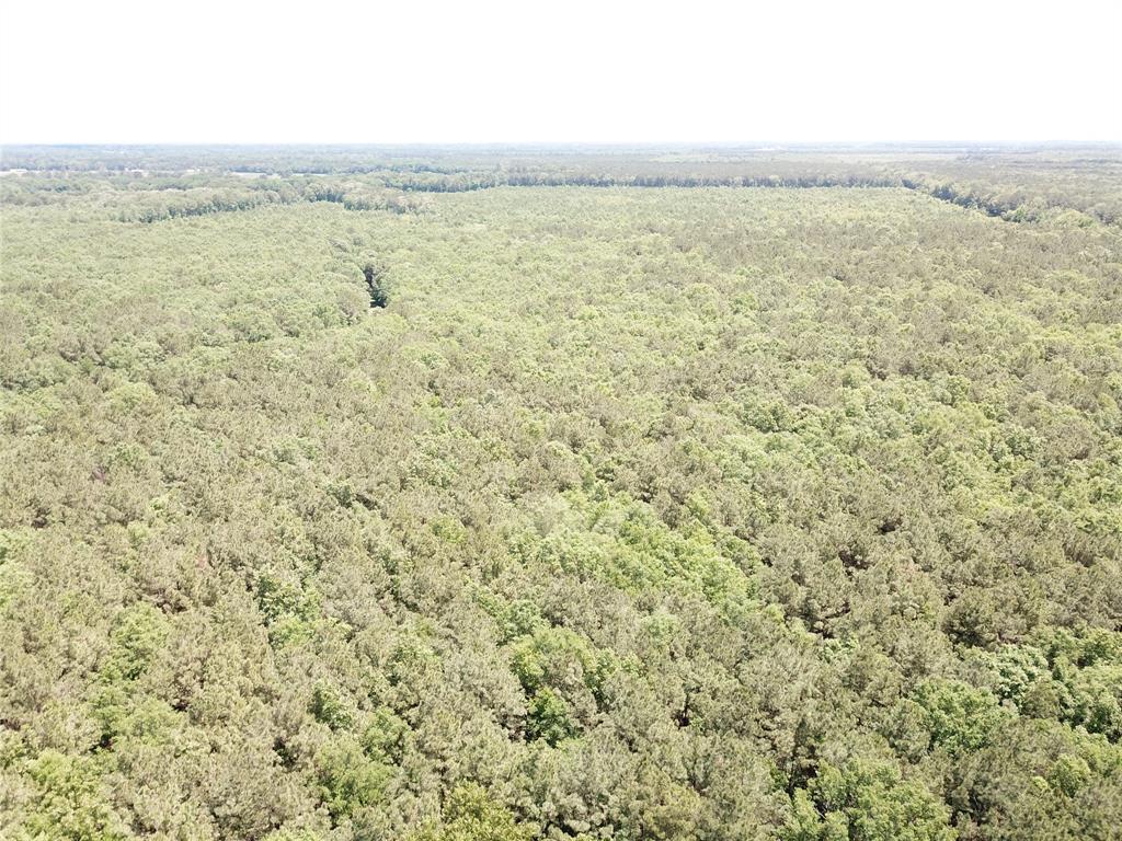 0 County Road 4223 Simms, TX 75574 - Photo 22 of 31 a view of an ocean