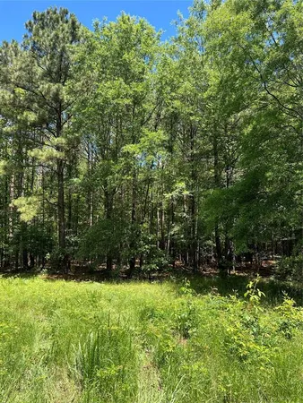 $824,476 | 0 County Road 4223, Simms, TX 75574