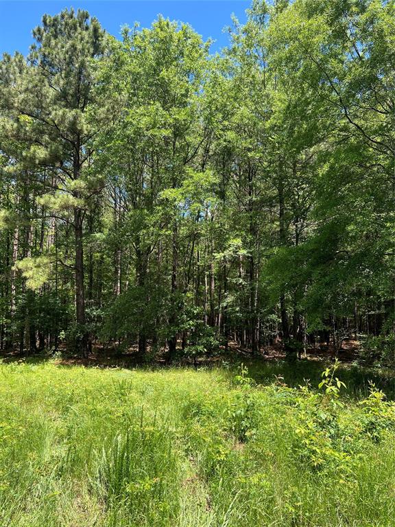 0 County Road 4223 Simms, TX 75574 - Photo 26 of 31 a view of outdoor space and green space