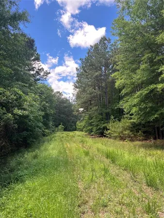 $824,476 | 0 County Road 4223, Simms, TX 75574