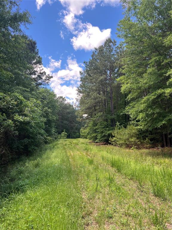 0 County Road 4223 Simms, TX 75574 - Photo 27 of 31 a view of an outdoor space and a yard