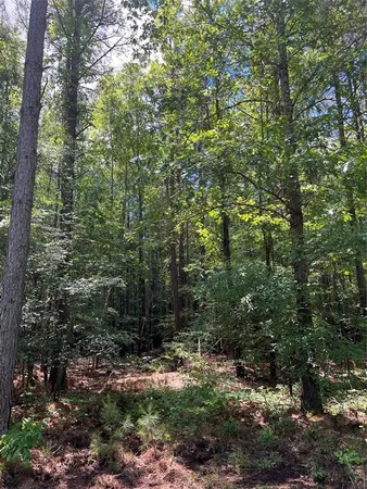 $824,476 | 0 County Road 4223, Simms, TX 75574