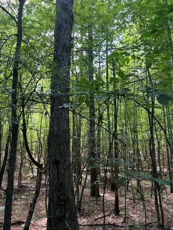 $824,476 | 0 County Road 4223, Simms, TX 75574