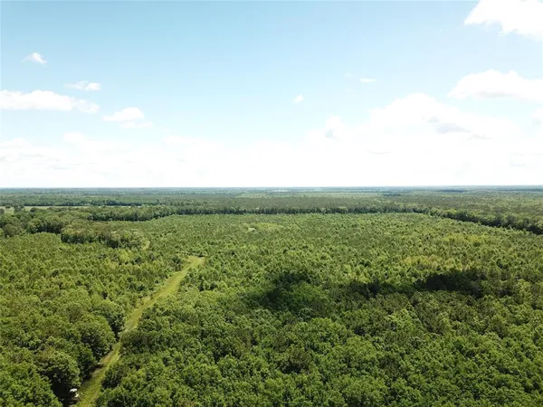 a view of a lush green outdoor space with a lake view