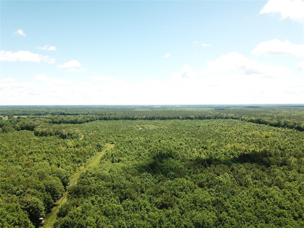 0 County Road 4223 Simms, TX 75574 - Photo 4 of 31 a view of a lush green outdoor space with a lake view