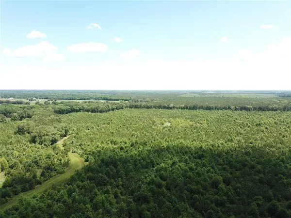 a view of a green field with lots of trees