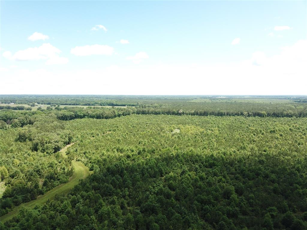 0 County Road 4223 Simms, TX 75574 - Photo 6 of 31 an aerial view of beach and yard