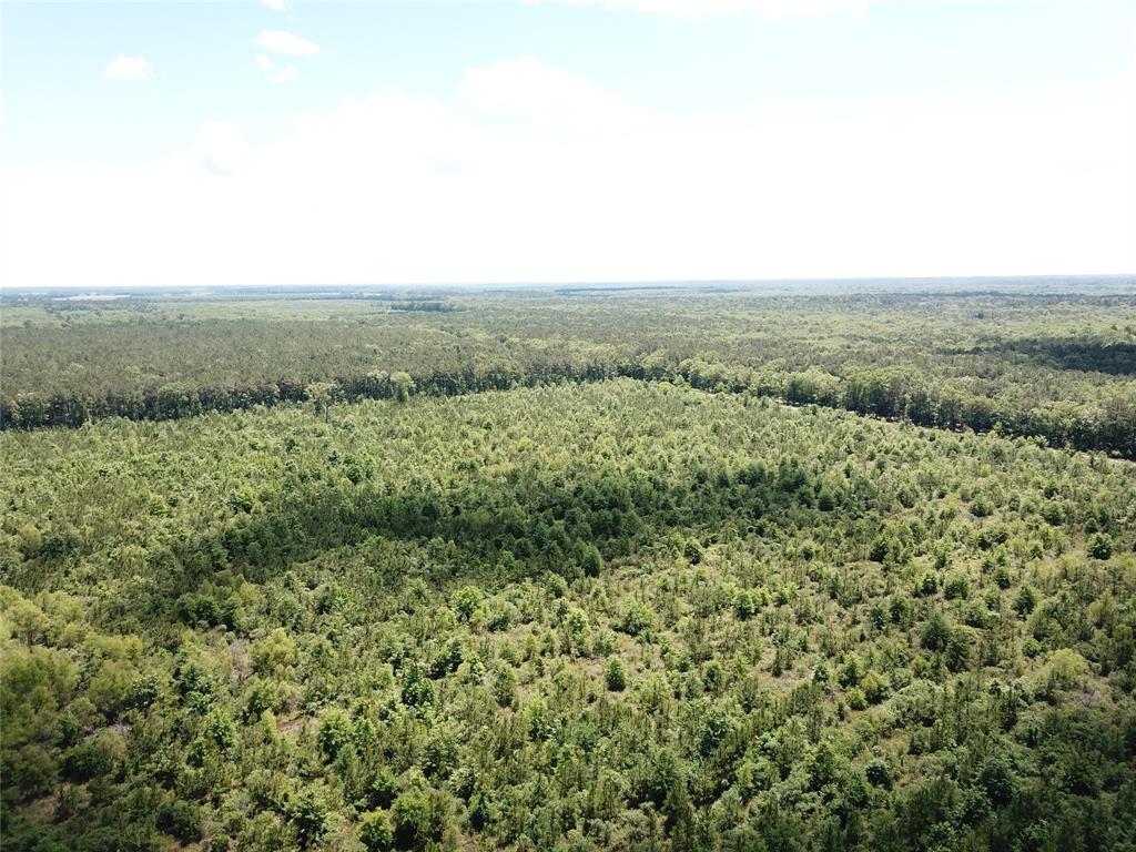 0 County Road 4223 Simms, TX 75574 - Photo 7 of 31 a view of a green field with lots of trees