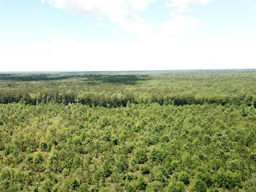 0 County Road 4223 Simms, TX 75574 - Photo 8 of 31 a view of a green field