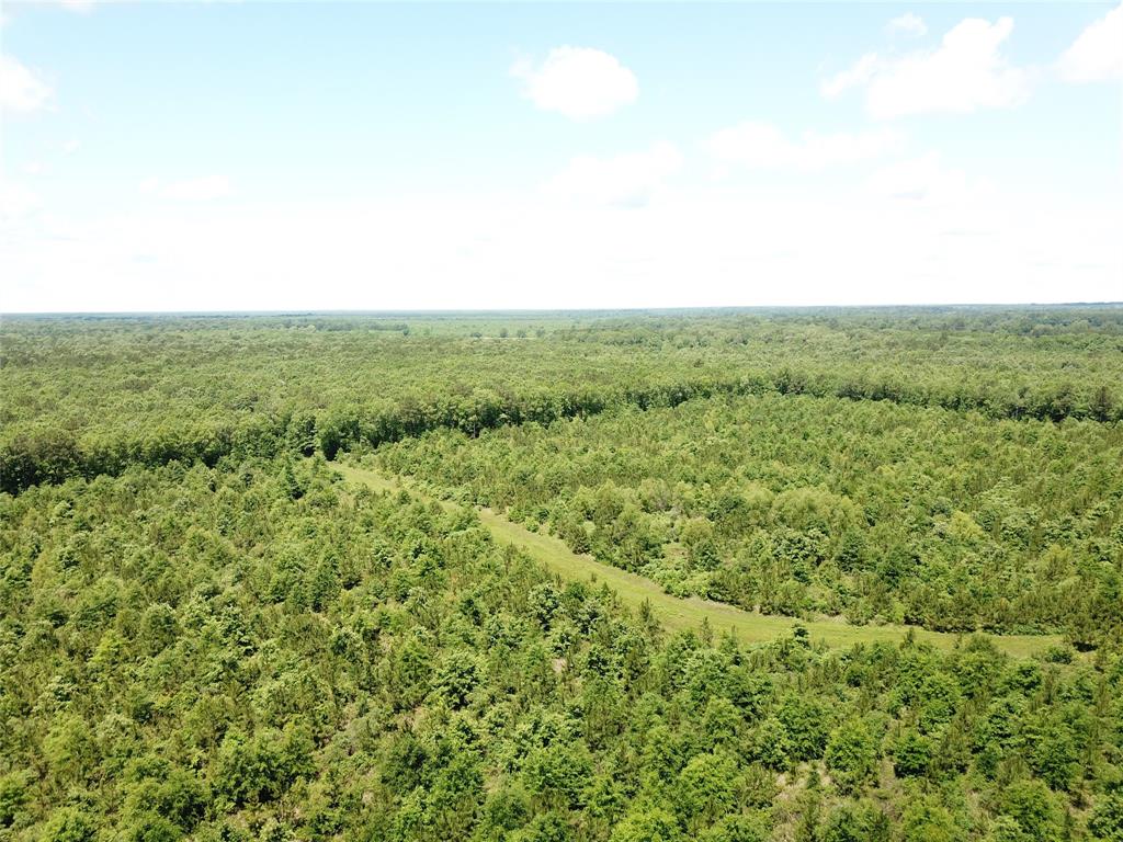 0 County Road 4223 Simms, TX 75574 - Photo 9 of 31 a view of a green field with lots of bushes