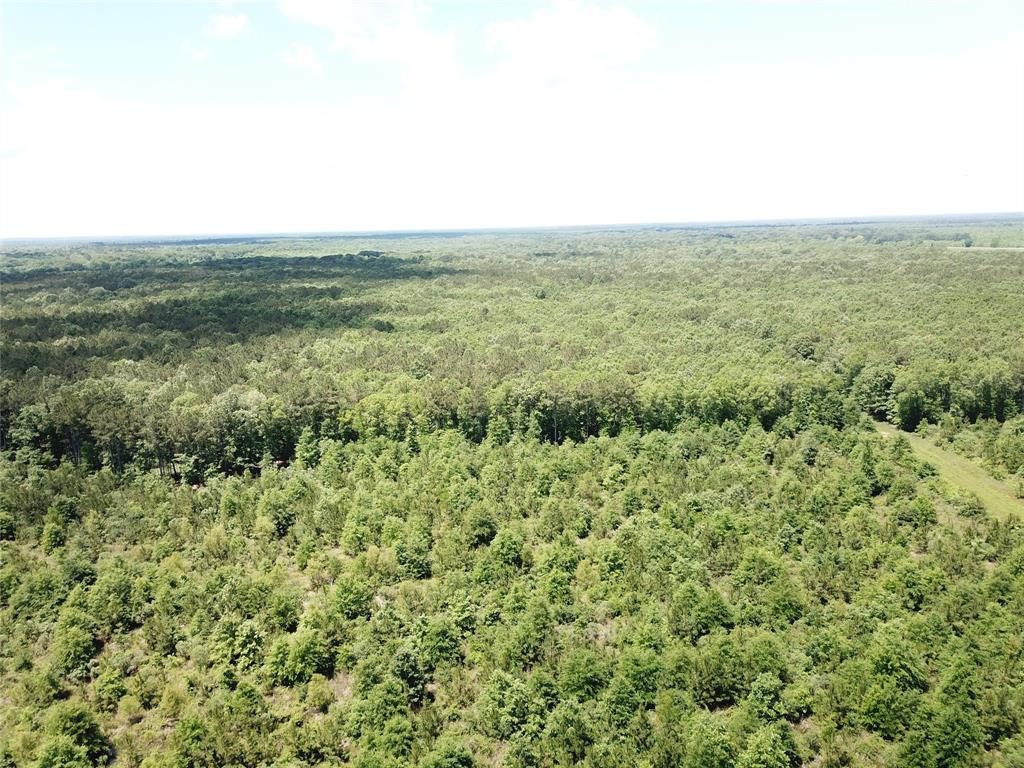 0 County Road 4223 Simms, TX 75574 - Photo 10 of 31 an aerial view of residential houses with outdoor space
