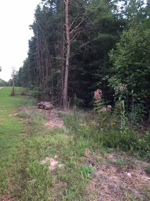 0 Wellman Road Hiddenite, NC 28636 - Photo 2 of 18 Gallery Image 2