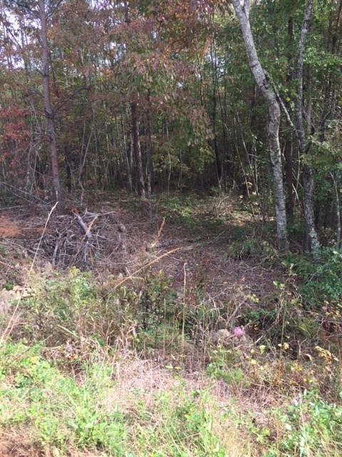 0 Wellman Road Hiddenite, NC 28636 - Photo 16 of 18 Gallery Image 16