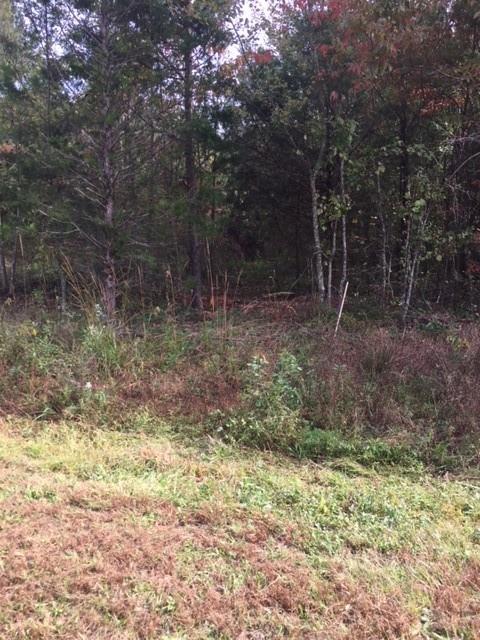 0 Wellman Road Hiddenite, NC 28636 - Photo 17 of 18 Gallery Image 17