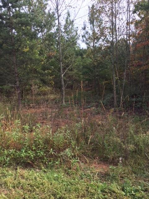 0 Wellman Road Hiddenite, NC 28636 - Photo 18 of 18 Gallery Image 18