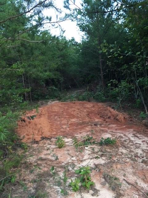 0 Wellman Road Hiddenite, NC 28636 - Photo 3 of 18 Gallery Image 3