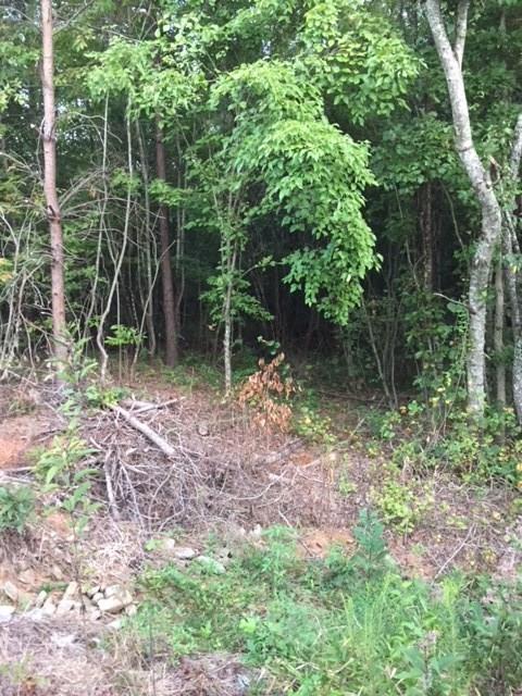 0 Wellman Road Hiddenite, NC 28636 - Photo 6 of 18 Gallery Image 6