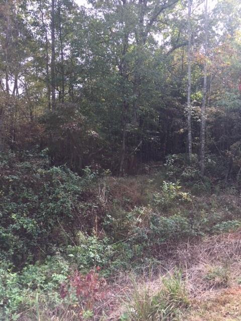 0 Wellman Road Hiddenite, NC 28636 - Photo 8 of 18 Gallery Image 8