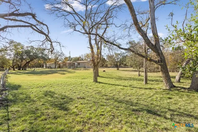 a view of a yard with trees