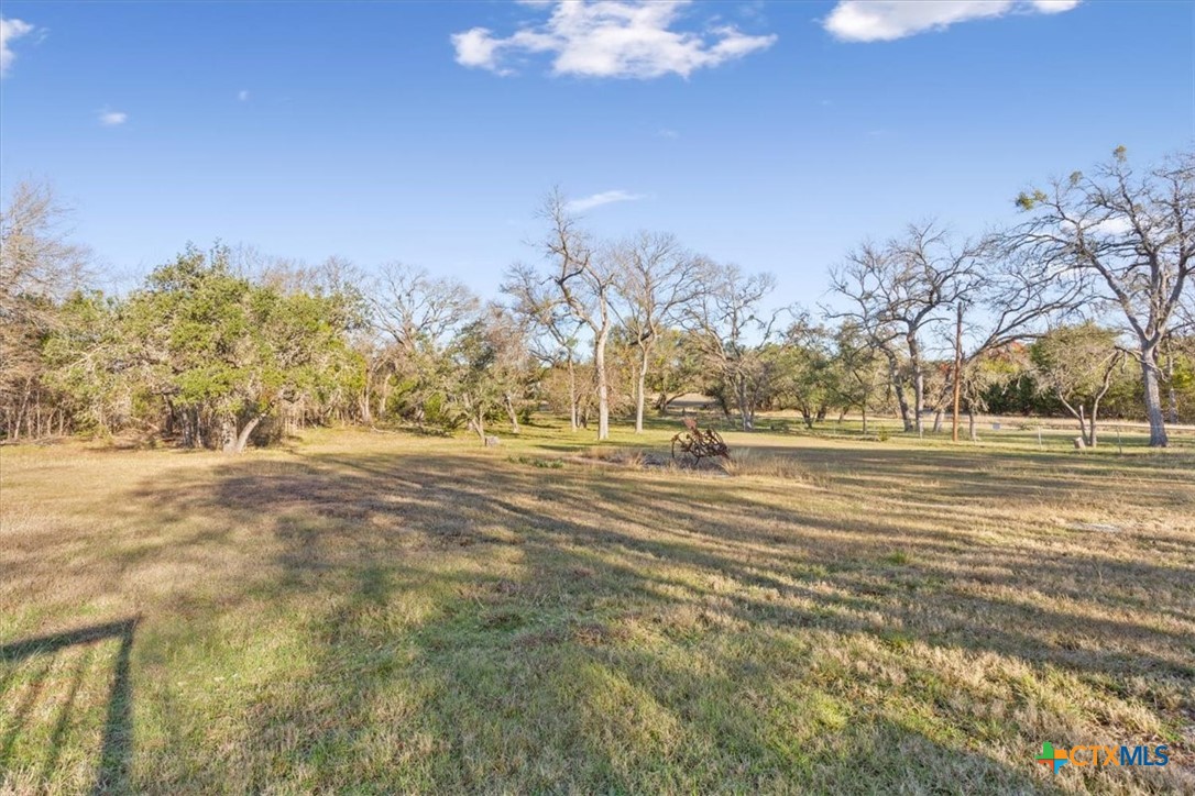 706 County Road 3376 Kempner, TX 76539 - Photo 4 of 31 a view of yard with large trees