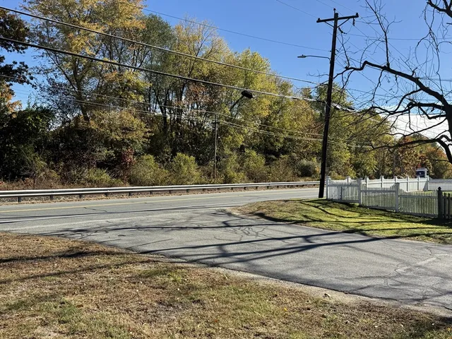 a view of a yard with street