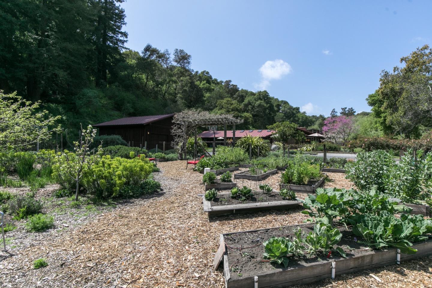 241 Bronco Road Soquel, CA 95073 - Photo 73 of 86 a view of a chair and tables in the garden