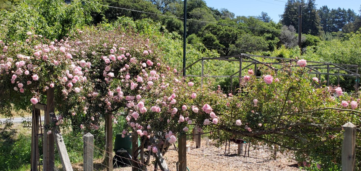 241 Bronco Road Soquel, CA 95073 - Photo 74 of 86