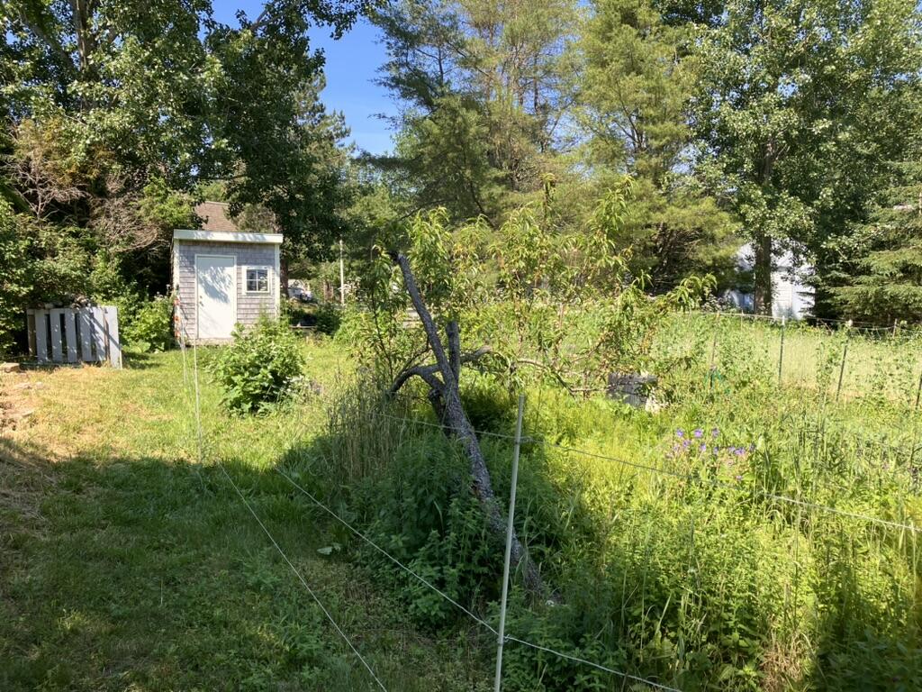 914 Tremont Road Bernard, ME 04612 - Photo 17 of 18 7BDC97D0-04B3-4512-9B78-FCABDD499413_1_1