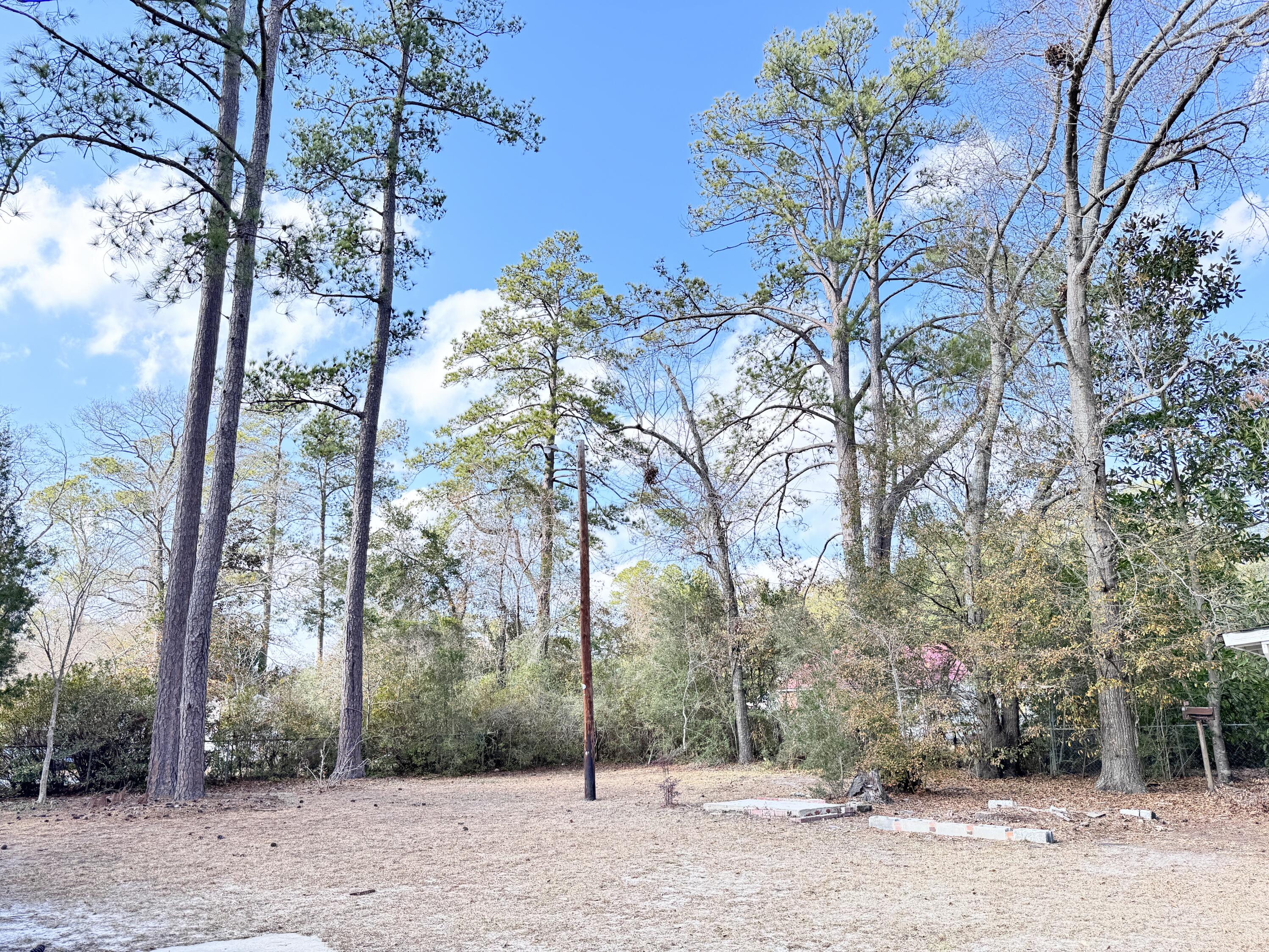 227 Bailey Street Walterboro, SC 29488 - Photo 25 of 26 227 Bailey Street