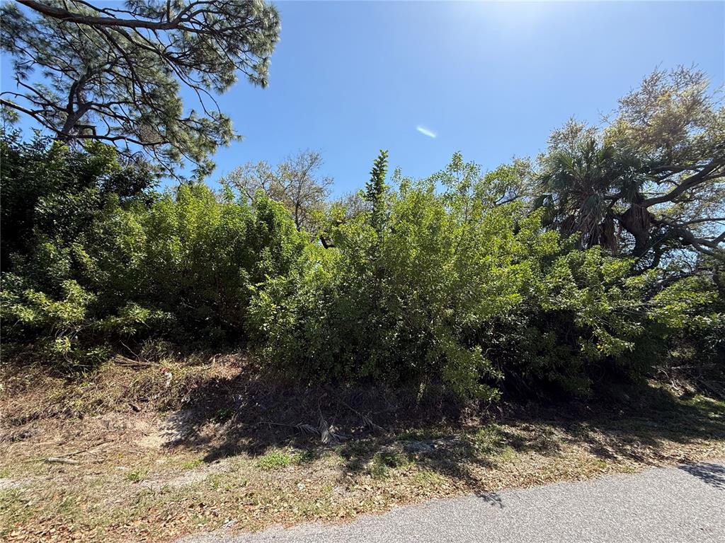 Kimball Road Venice, FL 34293 - Photo 3 of 3 a view of a yard