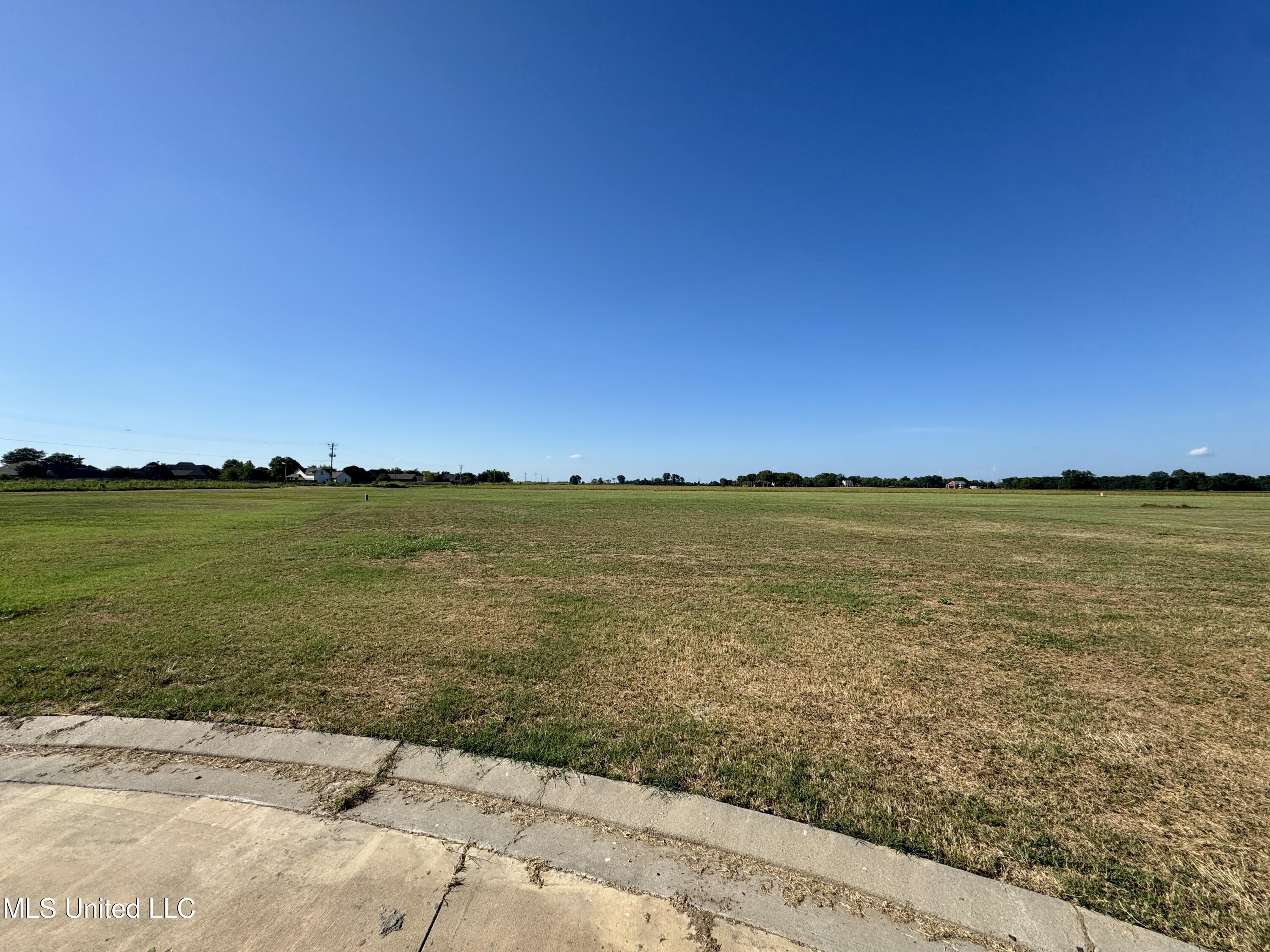 Chatmoss 2nd Cleveland, MS 38732 - Photo 5 of 6 IMG_3653