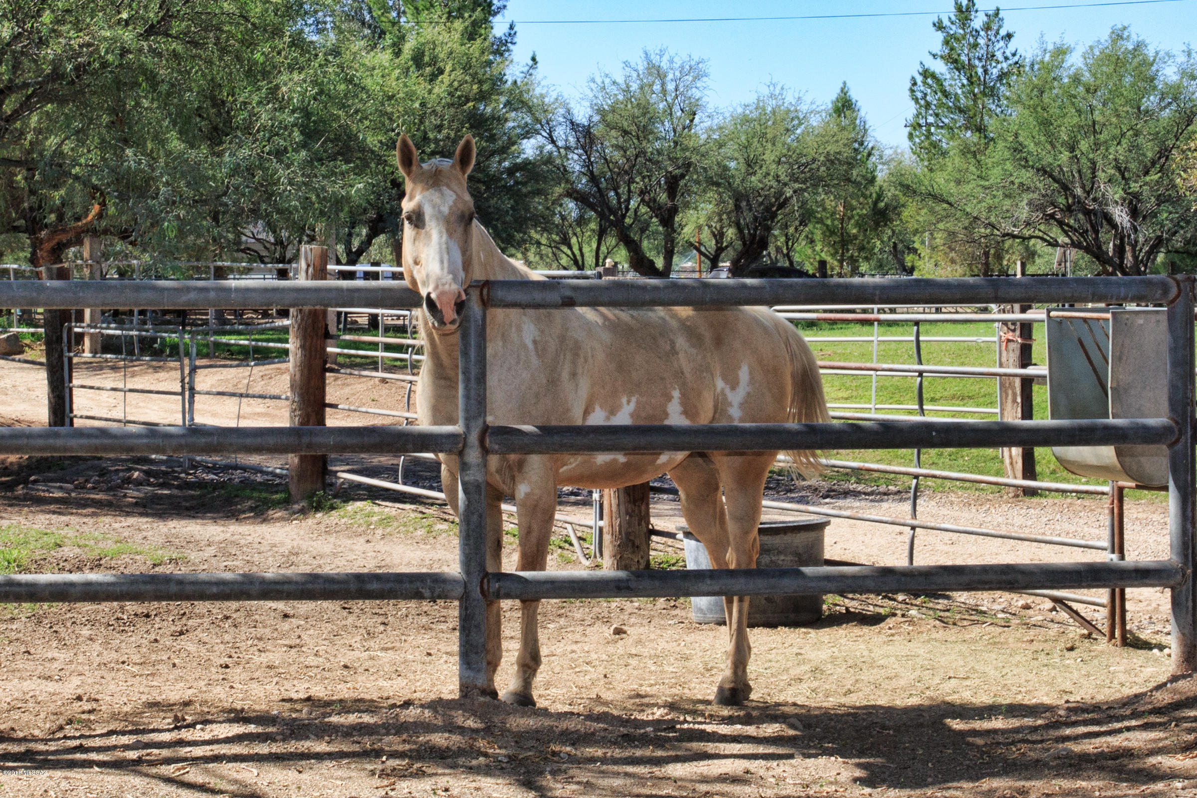8721 East Woodland Road Tucson, AZ 85749 - Photo 36 of 38 Gallery Image 36