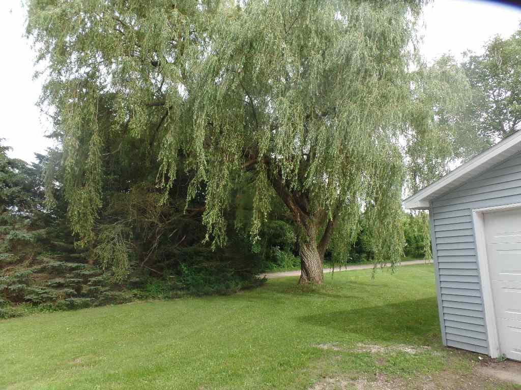 9280 East Remus Road Mount Pleasant, MI 48858 - Photo 31 of 34 1836223-30.JPG