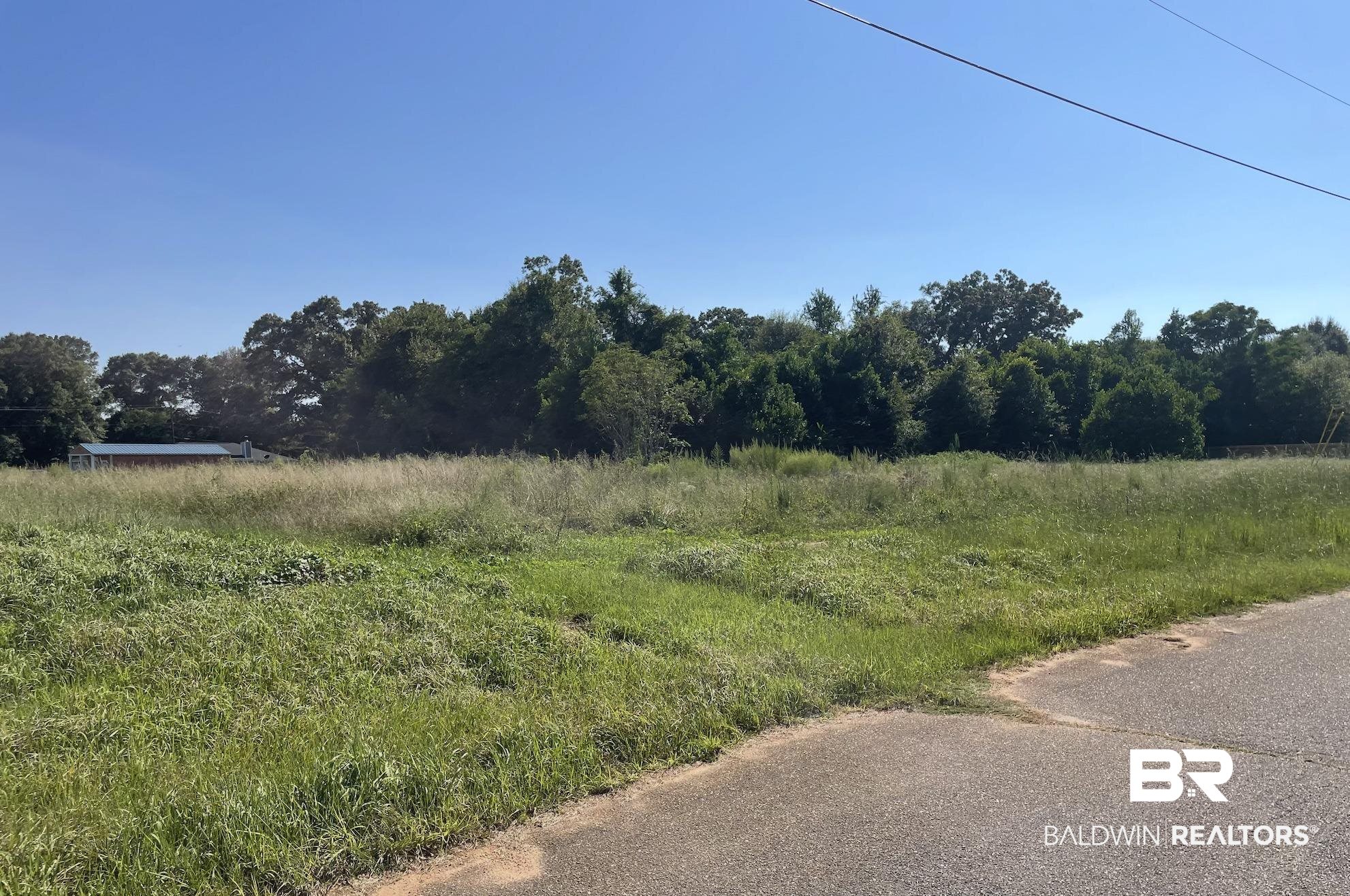 Brighton Drive Chunchula, AL 36521 - Photo 2 of 4 View of asphalt road featuring a view of rural / pastoral area