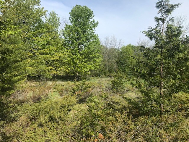 Lot 2 West Meadow Road Fish Creek, WI 54212 - Photo 18 of 40