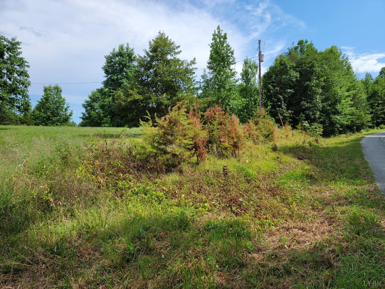 3310 Mountain Road Gretna, VA 24557 - Photo 13 of 15 a view of a garden with a house in a yard