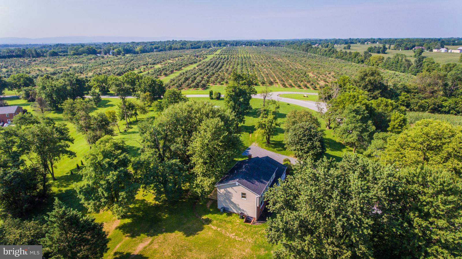 434 Earle Road Charles Town, WV 25414 - Photo 4 of 29 farmland across the road