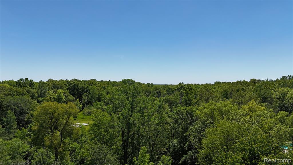 0 Williams Road Gaines, MI 48436 - Photo 9 of 28