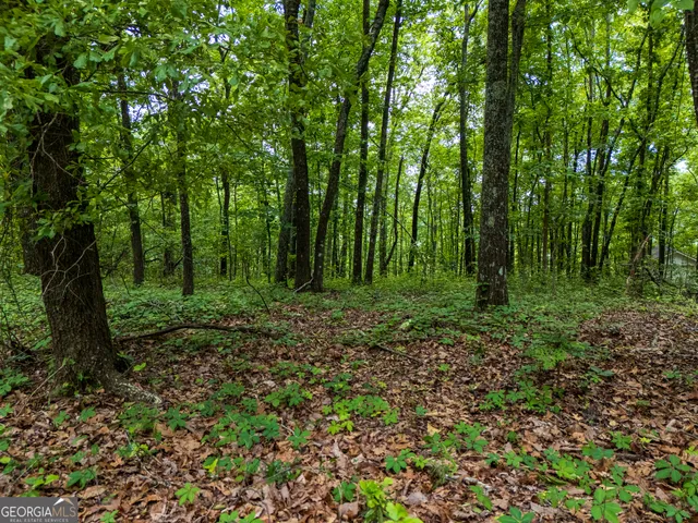$22,000 | 3.26-acres Mountain Ridge Drive, Manchester, GA 31816