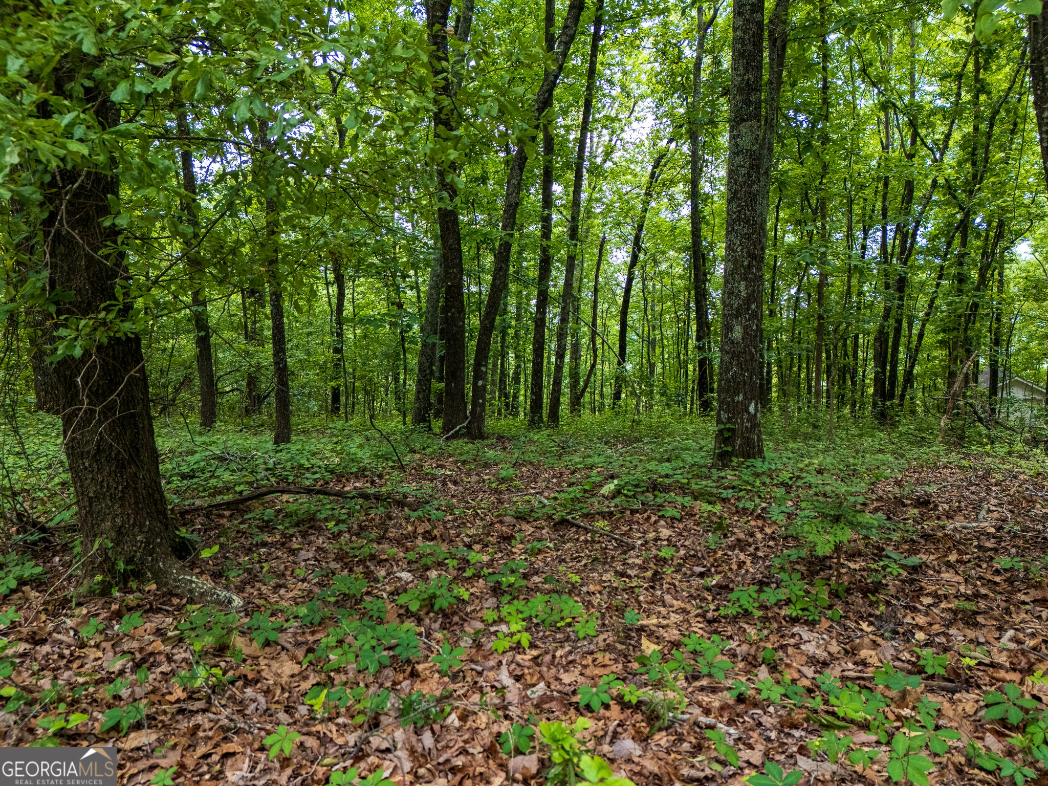 3.26-acres Mountain Ridge Drive Manchester, GA 31816 - Photo 2 of 9 a view of outdoor space and green space