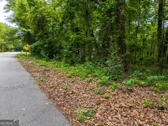 $22,000 | 3.26-acres Mountain Ridge Drive, Manchester, GA 31816