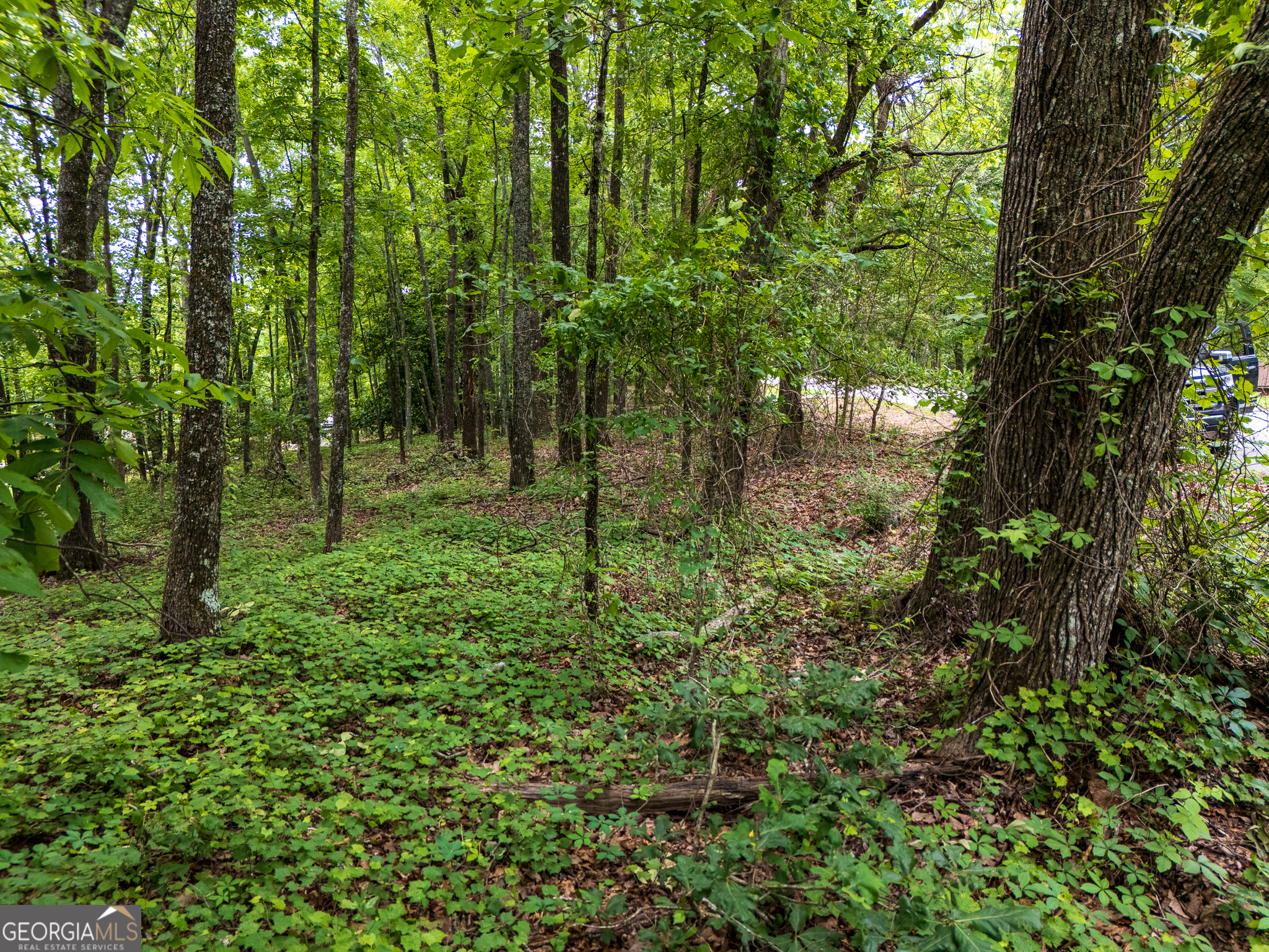 3.26-acres Mountain Ridge Drive Manchester, GA 31816 - Photo 5 of 9 a backyard of a house with lots of green space and fountain
